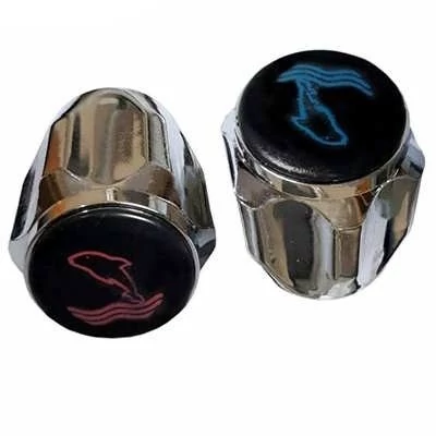 پوسته ای بی اس